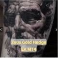 Zeus Gold Hedge V1.2 EA MT4 Mini deposit 200USD